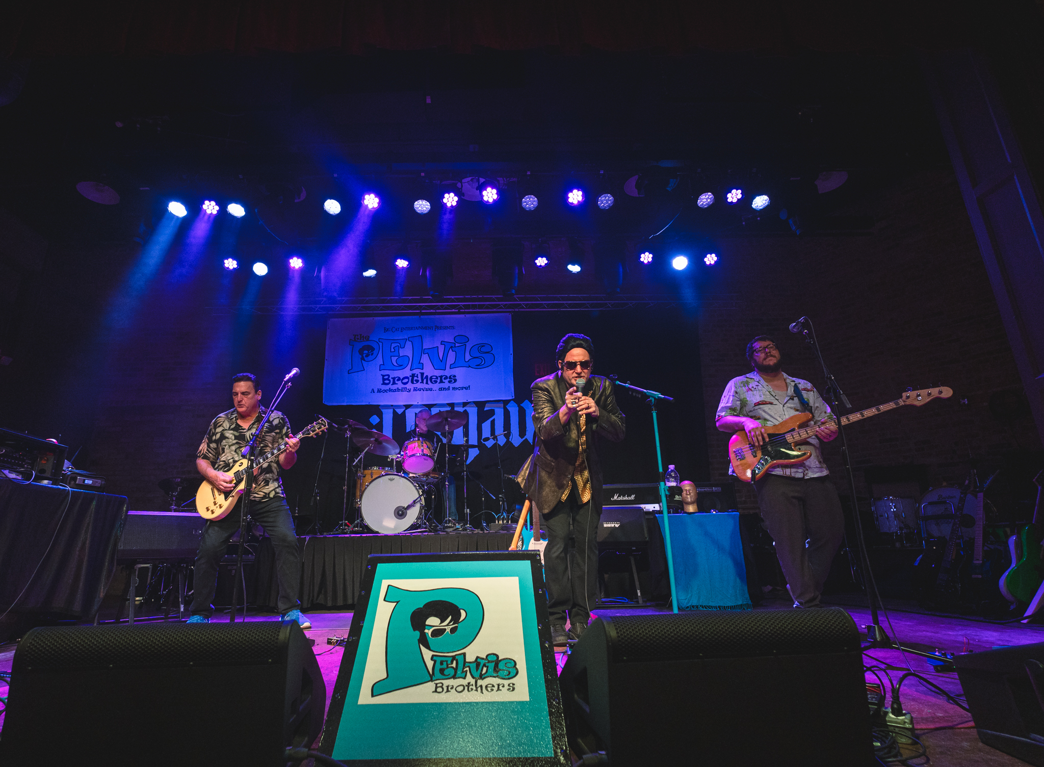 The Pelvis Brothers live band photo